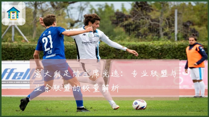 意大利足协主席竞选：专业联盟与业余联盟的较量解析